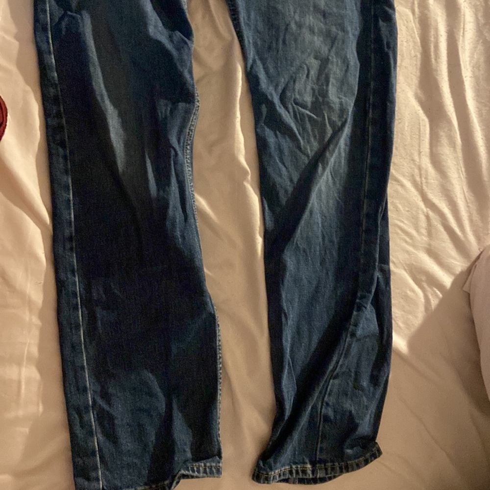Levi - Picture 2 of 4
